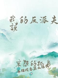 我的反派夫君小说