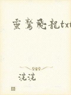灵鹫飞龙txt
