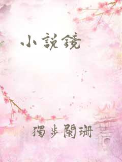 小说镜