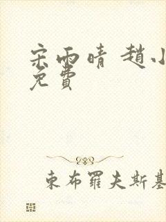 宋雨晴 赵小刚免费