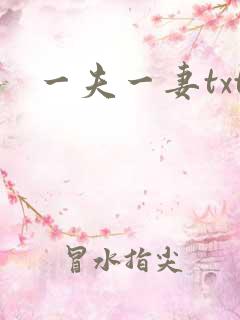 一夫一妻txt