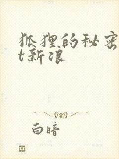 狐狸的秘密txt新浪