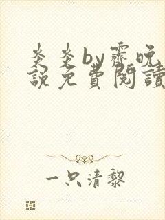 炎炎by霁晚小说免费阅读全文