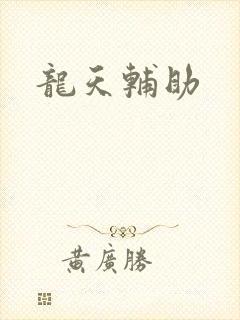 龙天辅助