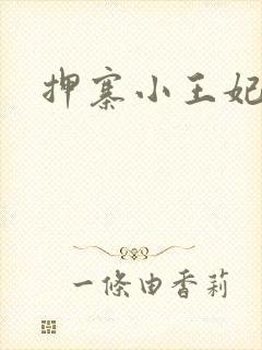 押寨小王妃