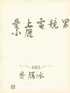 爱上电竞男神林小鹿