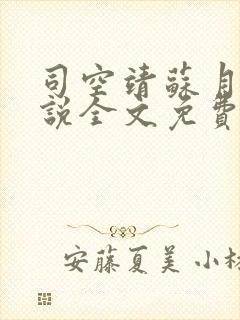 司空靖苏月汐小说全文免费阅读