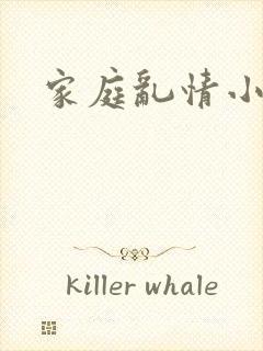 家庭乱情小说