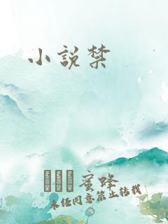 小说禁