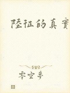 陆征的真实身份