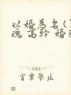 以婚为名 (军魂 高干 婚恋)