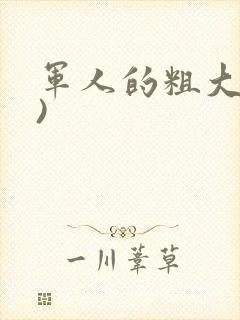 军人的粗大(h)
