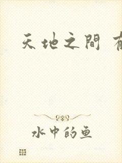 天地之间 有声