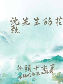 沈先生的花式调教