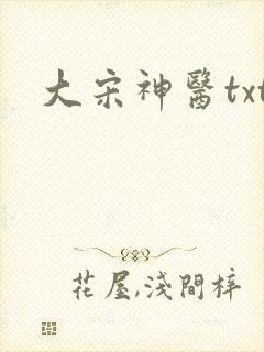 大宋神医txt