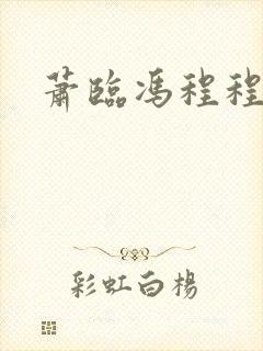 萧临冯程程小说