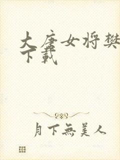 大唐女将樊梨花下载