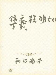 锦衣杀明txt下载