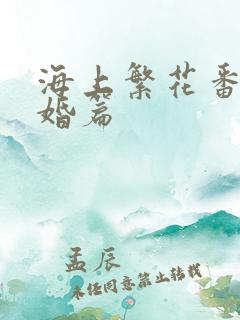 海上繁花番外结婚篇