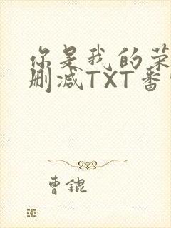 你是我的荣耀未删减TXT番外