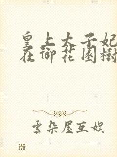 皇上太子妃沈音在御花园树上