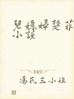 儿媳妇楚菲菲的小说