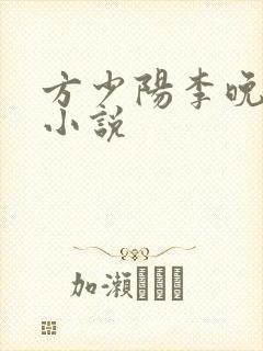 方少阳李晚晴的小说