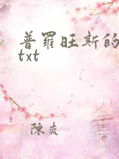 普罗旺斯的一年txt