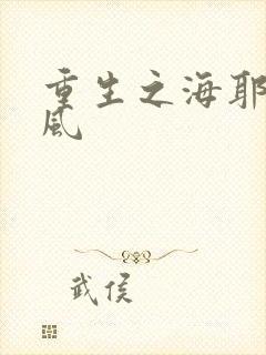 重生之海耶斯旋风