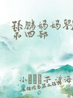 孙鹏妈妈刘淑英第四部