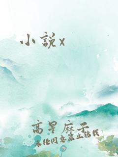 小说x