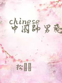 chinese中国帅男飞机