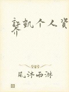 许凯个人资料简介