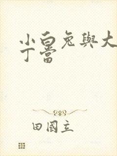 小白兔与大灰狼丁当