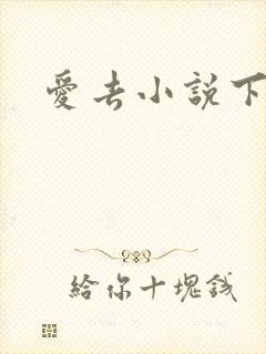 爱去小说下载网