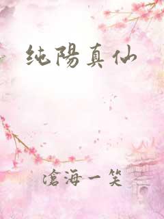 纯阳真仙
