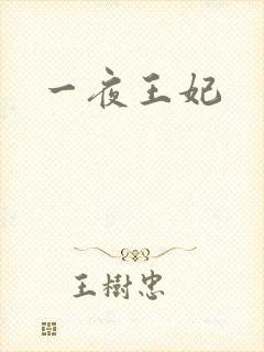 一夜王妃