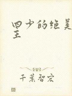 四少的绝美宠公主