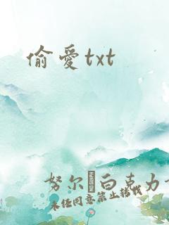 偷爱txt