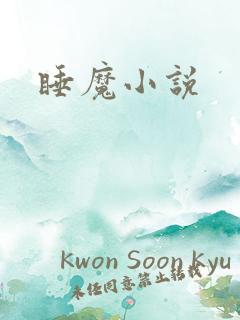 睡魔小说