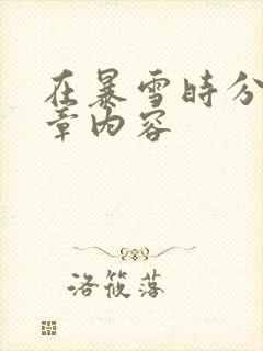 在暴雪时分54章内容