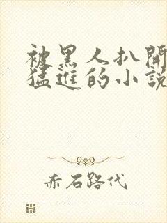 被黑人扒开双腿猛进的小说