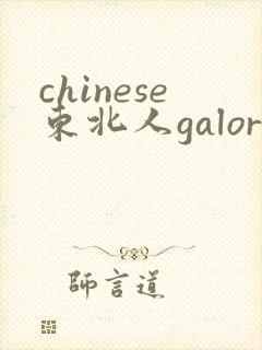 chinese东北人galore