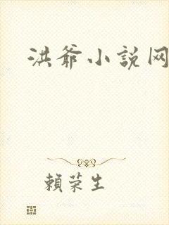 洪爷小说网