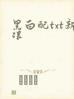 黑白配txt新浪