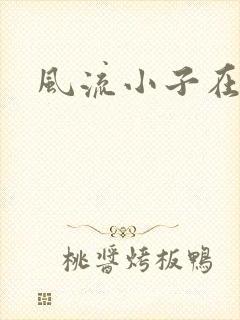 风流小子在异世