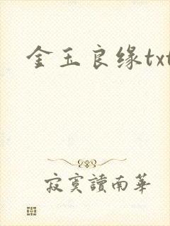 金玉良缘txt