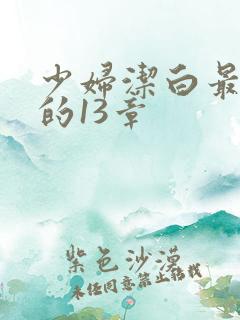 少妇洁白最刺激的13章