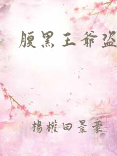 腹黑王爷盗墓妃