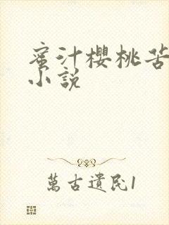 蜜汁樱桃苦咖啡小说